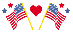 usa flags