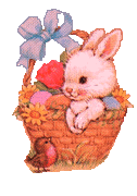 bunny3