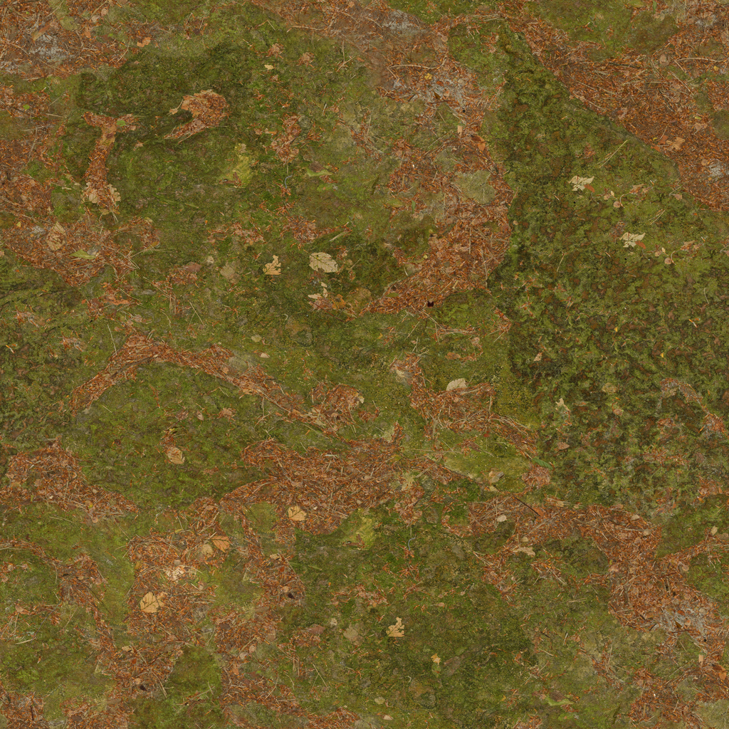 moss ground background